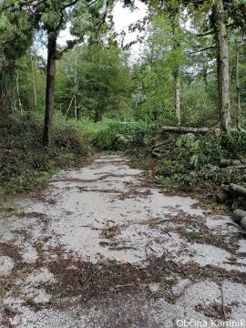 Ogled kolesarske povezave Kamnik–Godič (10)